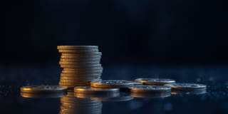 Enfoque abierto y honesto de transparencia en la plataforma de trading Palmo Sulteva